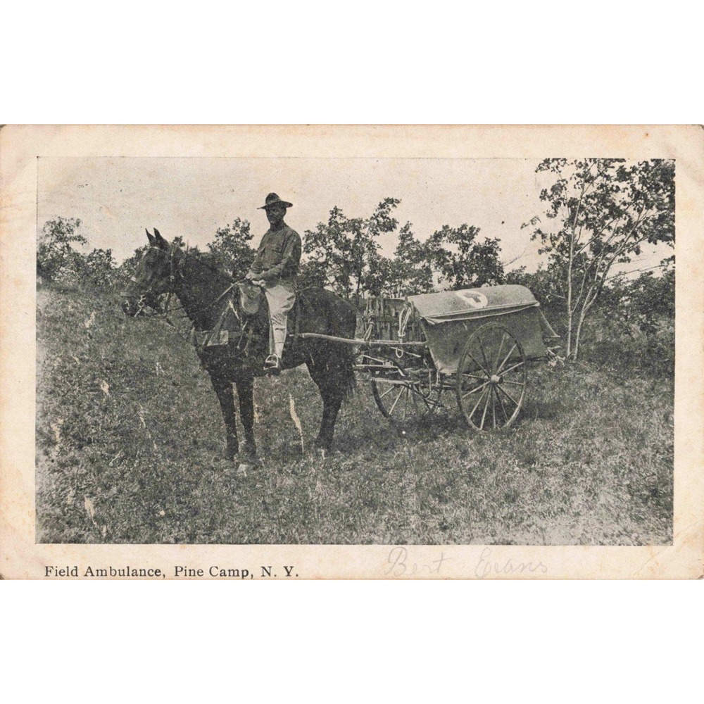 Vintage 1911 Pine Camp NY Field Ambulance Horse Drawn Postcard RPPC Fort Drum - Picture 1 of 2